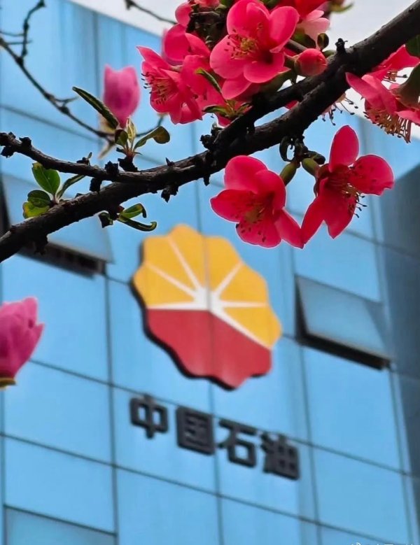 华丰金服 财报解读｜一年净赚近1647亿元！中国石油2024年净利润再创历史新高