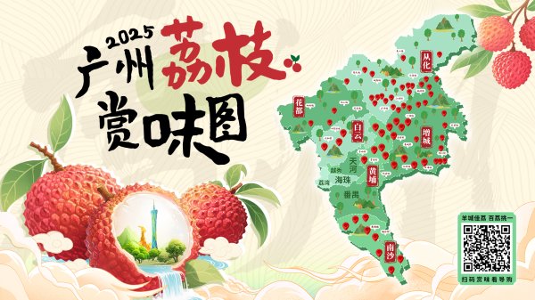盛鹏配资 2025广州荔枝赏味图发布，近200家果园“一网打尽”