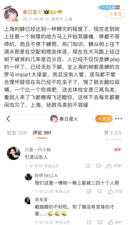 驰赢策略 180元/斤的知了猴，快被山东人薅没了