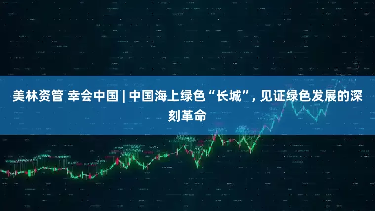 美林资管 幸会中国 | 中国海上绿色“长城”, 见证绿色发展的深刻革命