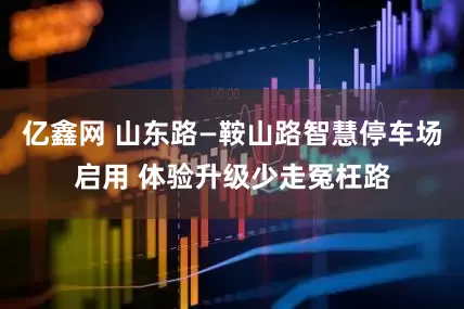 亿鑫网 山东路—鞍山路智慧停车场启用 体验升级少走冤枉路