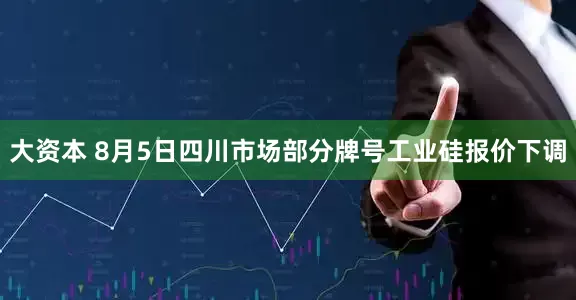 大资本 8月5日四川市场部分牌号工业硅报价下调