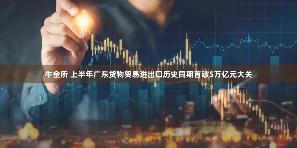牛金所 上半年广东货物贸易进出口历史同期首破5万亿元大关